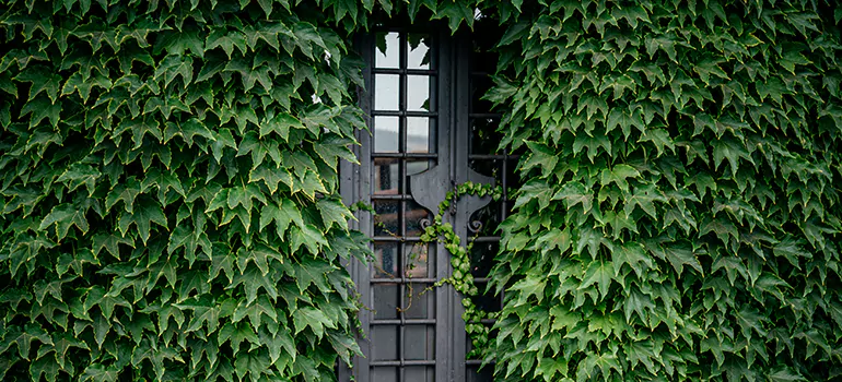 Garden Gate Repair in Vero Beach, FL